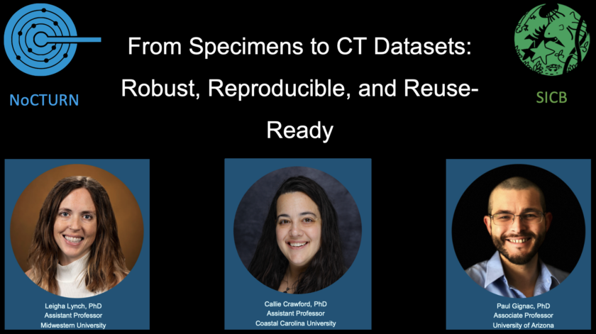 Images of three presenters and the title of the SICB Workshop: From Specimens to CT Dataets: Robust, Reproducible, and Reuse-Ready